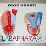 Frog Heart